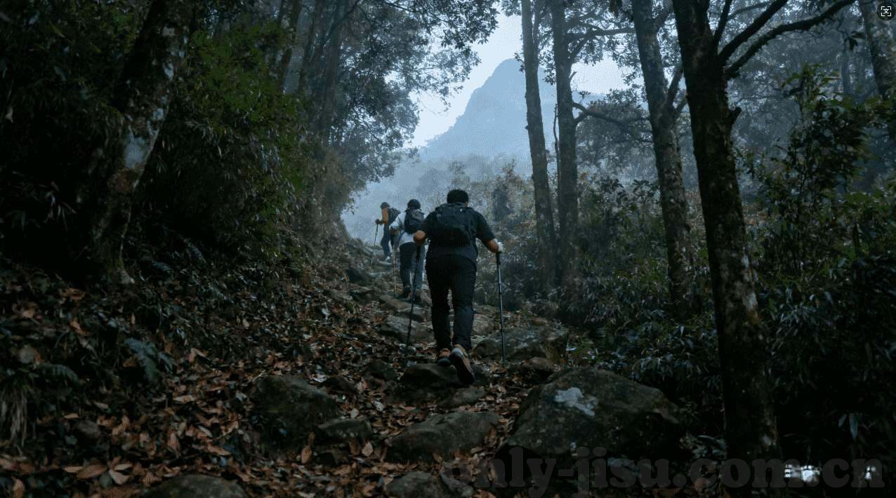 好博体育平台app官网入口-揭秘好博体育平台app官网入口，享受极致的体育赛事直播平台